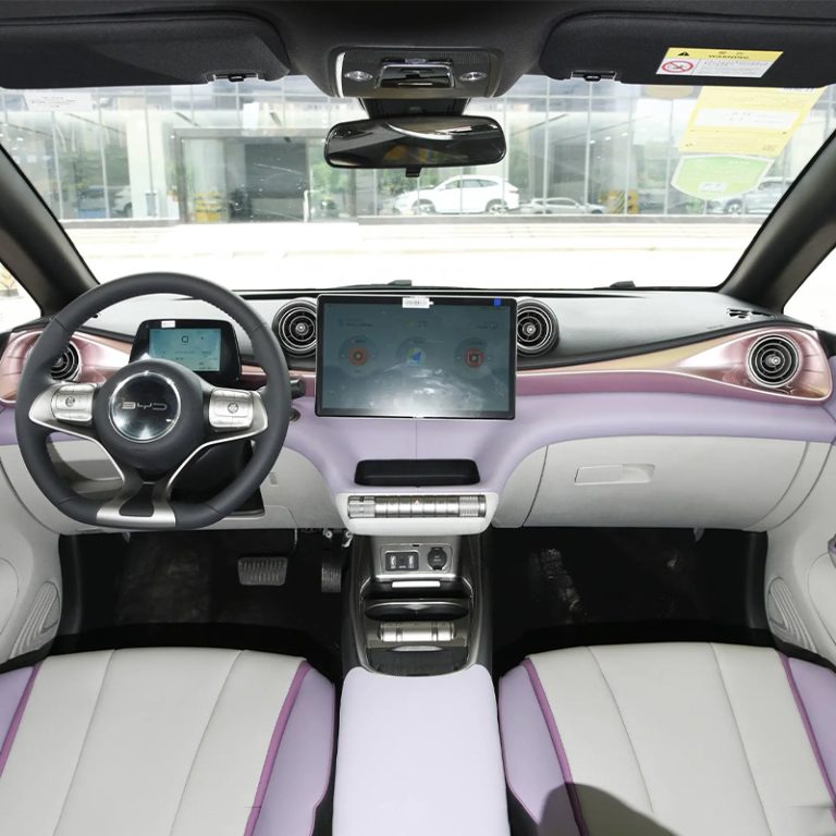 BYD-Dolphin-Interior