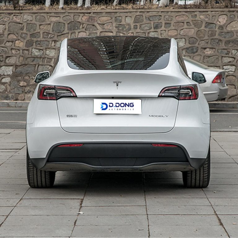 Tesla-Model Y-Dead astern